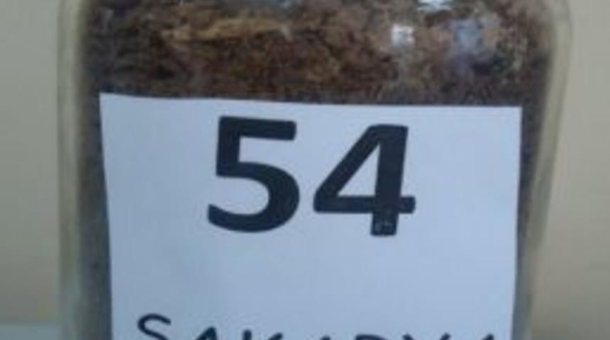 Gazinin Evine Sakarya’dan Toprak