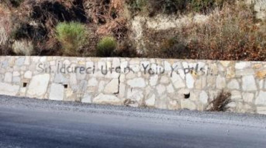 S&ouml;ke-davutlar Yoluna Sonunda Bir Vekil Sahip &Ccedil;ıktı