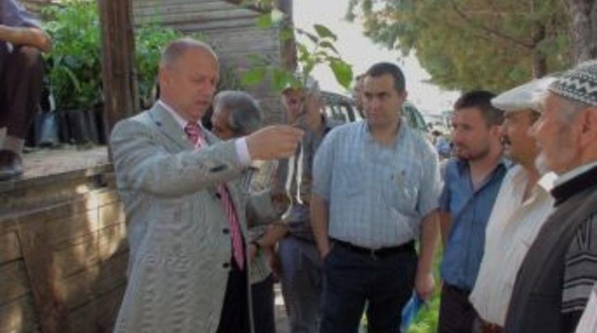 Gediz İl&ccedil;e Tarım M&uuml;d&uuml;rl&uuml;ğ&uuml;, &Ccedil;ift&ccedil;ilere Sertifikalı İthal Ceviz Fidanı Dağıttı