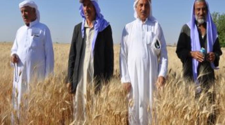 &Ccedil;ift&ccedil;i Eğitimine Katkı Sağlamak I&ccedil;in 'tarla G&uuml;nleri' D&uuml;zenlenecek