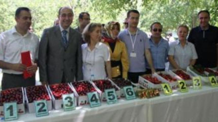 Kiraz ve &ccedil;ilek festivali yapıldı
