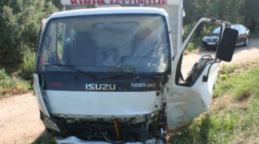 Tarla Yolunda &Ouml;l&uuml;m