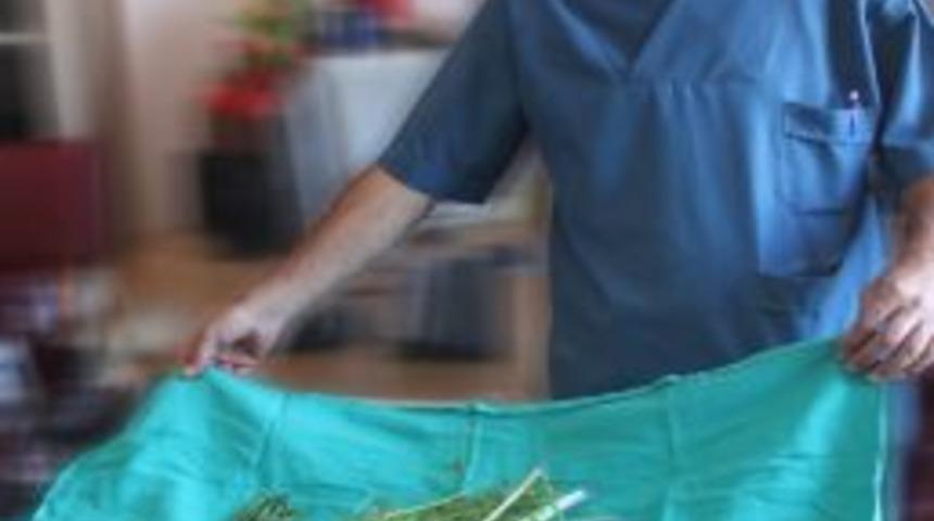 Uzmanlar Uyardı &lsquo;kocakarı İla&ccedil;larına İtibar Etmeyin&rsquo;