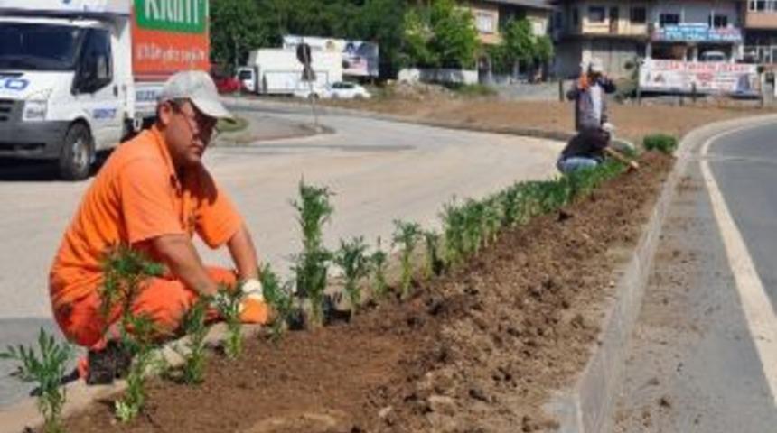 Alaplı Belediyesi'nden &Ccedil;i&ccedil;eklendirme &Ccedil;alışması