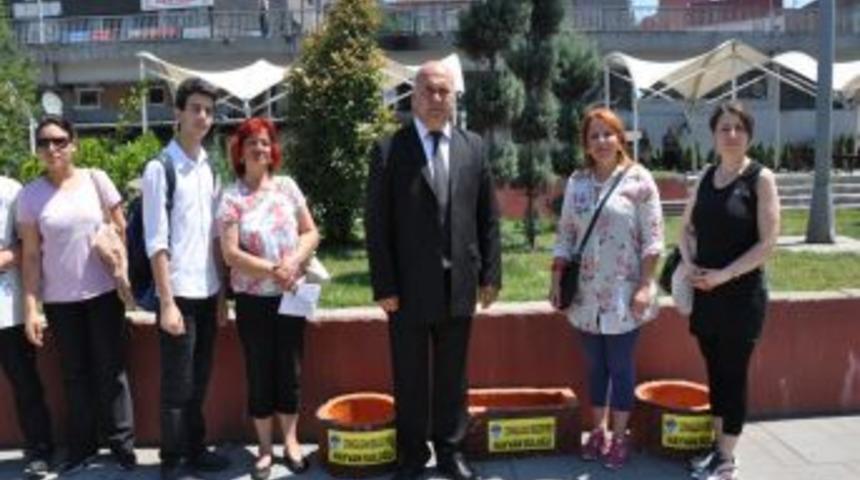 Havalar Isınınca Sokak Hayvanları I&ccedil;in Caddeye Suluk Yerleştirildi