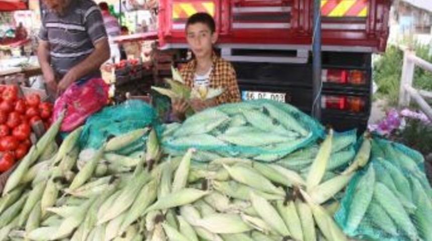 Miniklerin Okulu Bitti, İş Hayatları Başladı