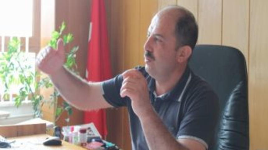 Akdağmadeni'ndeki Ormanlara Sarı&ccedil;am Tohumu Ekildi