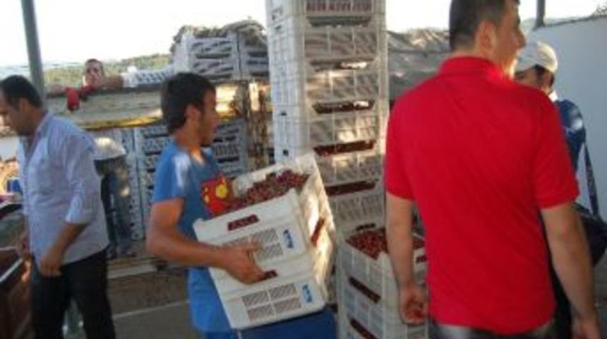 Lapseki Kirazına Yurtdışından B&uuml;y&uuml;k Talep