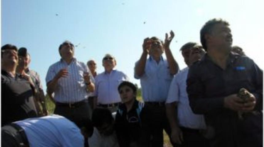 Denizli&rsquo;de 750 Kınalı Keklik Doğaya Salındı