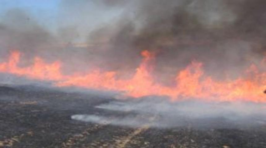Edremit K&ouml;rfezi'nde Yaz Boyunca Anız Yakmak Yasaklandı