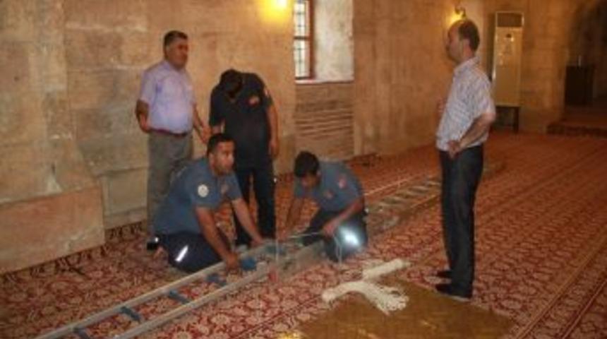 Camide Kırlangı&ccedil; Kurtarma Operasyonu