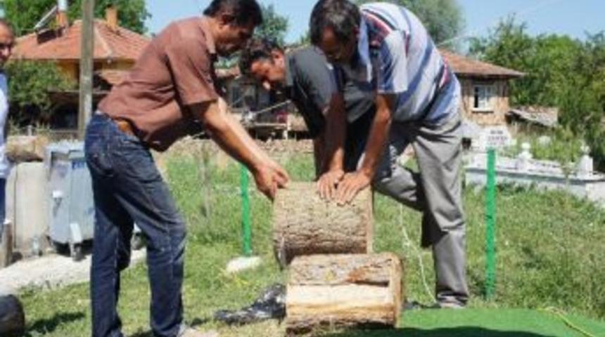K&ouml;yl&uuml;lerin Ge&ccedil;im Kaynağı &ldquo;k&uuml;t&uuml;kte K&uuml;lt&uuml;r Mantarı Yetiştirmesi&rdquo; Oldu