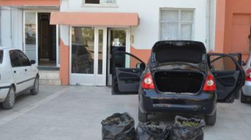 Birecik&rsquo;te Uyuşturucu Operasyonu