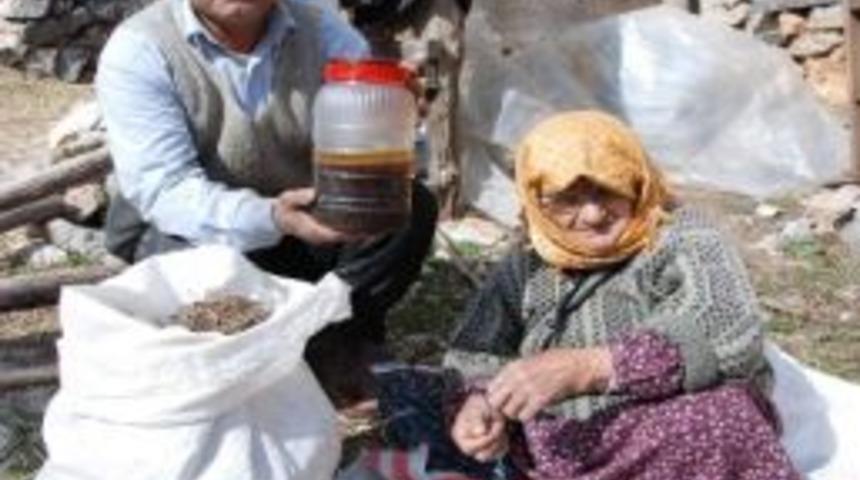 Ge&ccedil;imini Kekik, Nane, Defne Yağı İle Sağlıyor