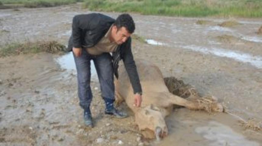 Başkale&rsquo;de Sel Felaketi
