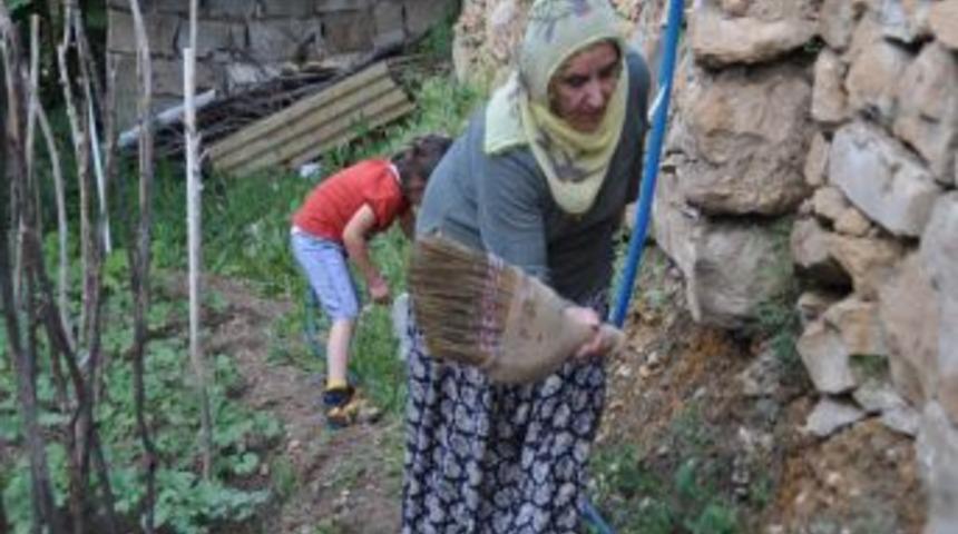 Yozgat&rsquo;ta Bir Mahalleyi Kurbağalar Bastı