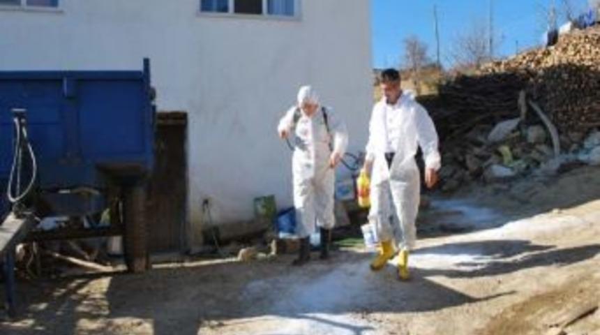 Pazarlar&rsquo;da Şap Karantinası Kaldırıldı