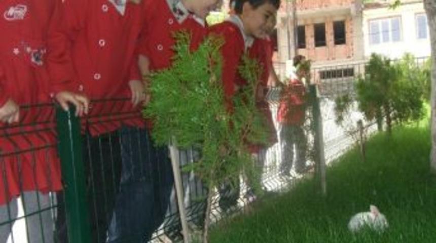 &ldquo;doğayla G&uuml;lelim Diye&rdquo; Projesi &Uuml;lke Sınırlarını Aştı