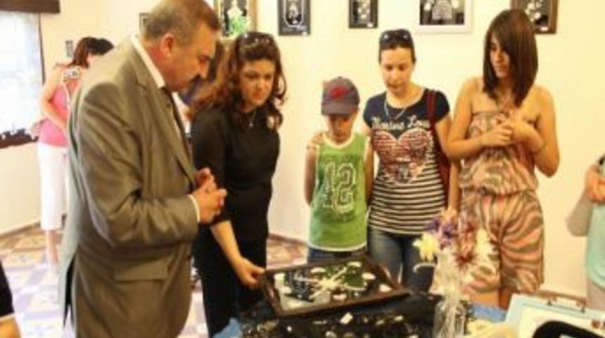 İpek Kozası Tablo Oldu Edremit'te Sergilendi