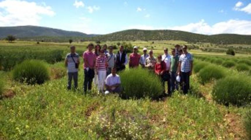 Isparta&rsquo;nın Tıbbi Ve Aromatik Bitkilerini Incelediler