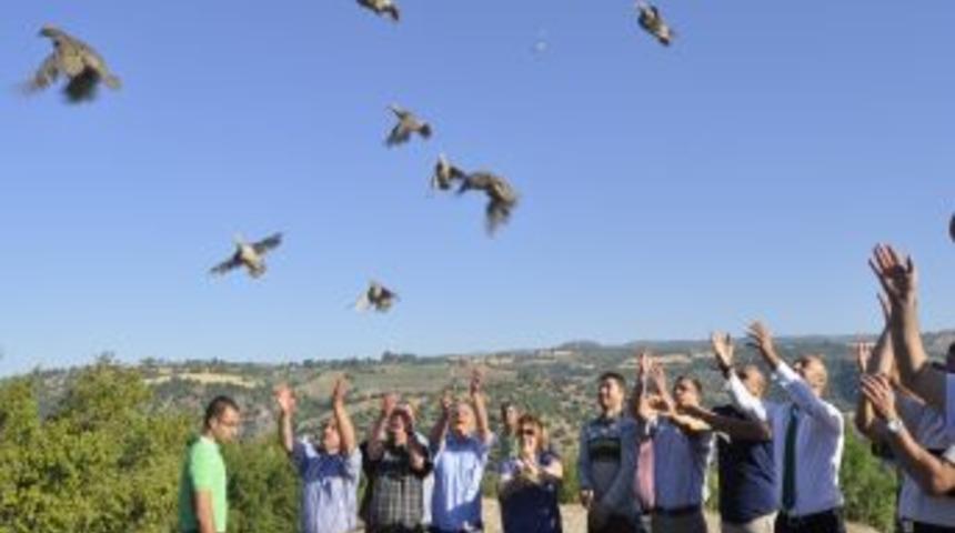 Pazarcık&rsquo;ta 250 Keklik Doğaya Bırakıldı