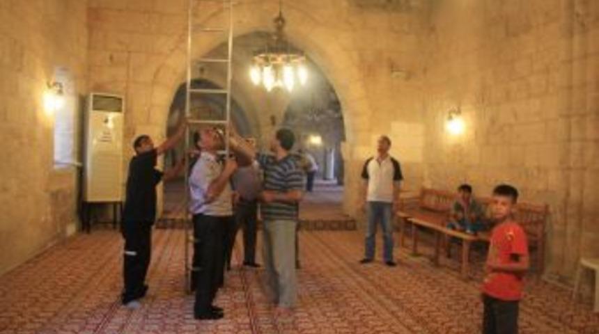 İtfaiyeden Kuş Kurtarma Operasyonu