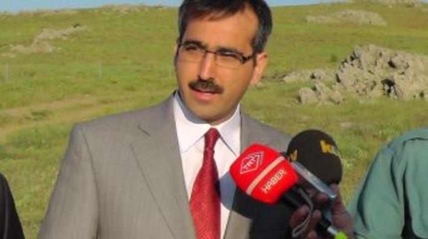 Kınalı Keklikler Kene Ve S&uuml;ne M&uuml;cadelesinde