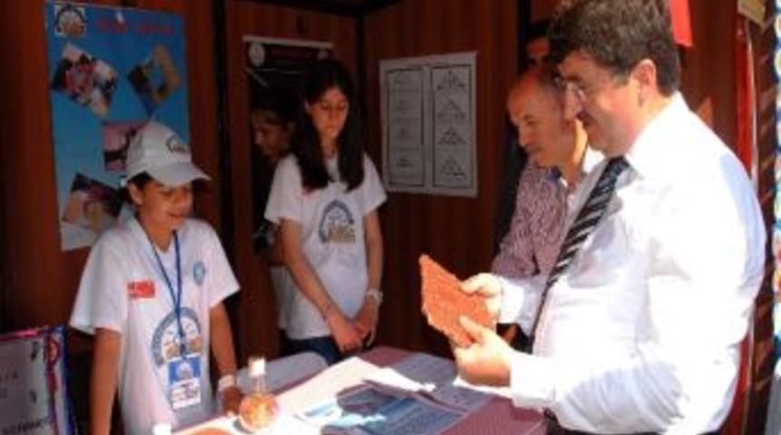 Soğan Kabuğundan Sunta Yaptılar