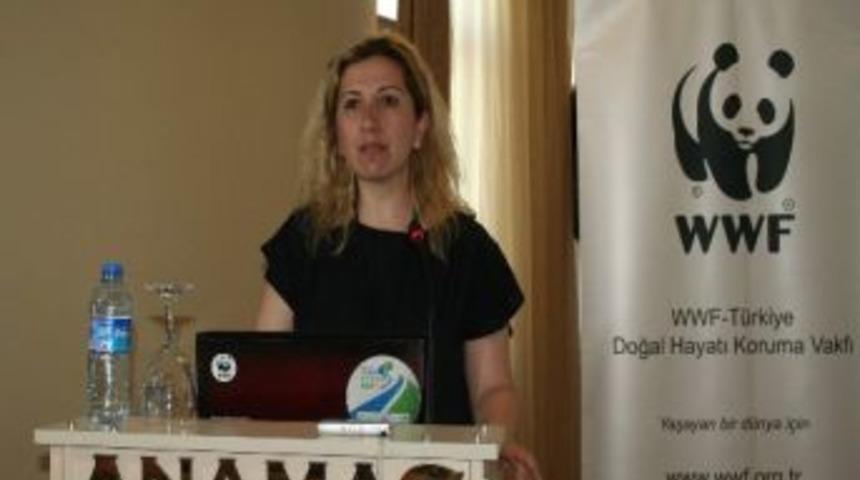 Beyşehir G&ouml;l&uuml; Ve Havzası Ekosistemi Değerlendirildi