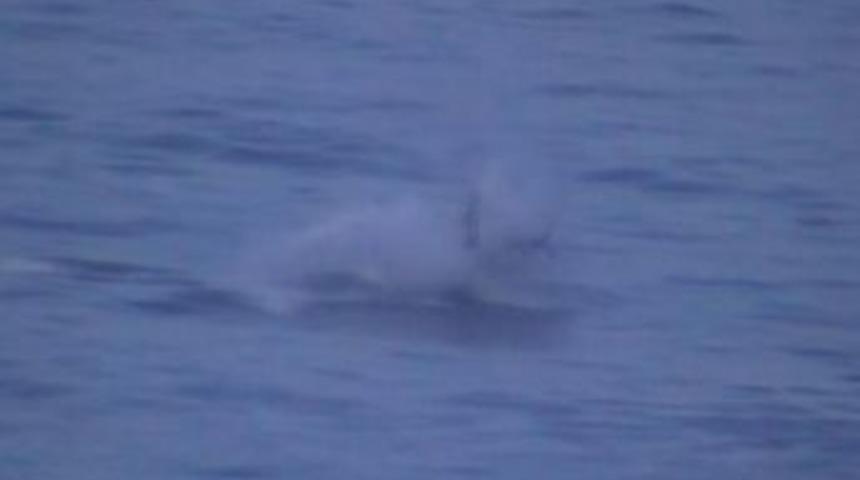 Paraş&uuml;t&uuml;n Kontrol&uuml;n&uuml; Kaybedince Denize D&uuml;şt&uuml;