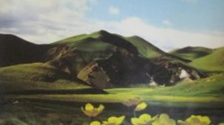 Beyazşehir Paland&ouml;ken Ikinci Sayısıyla Okurlarıyla Buluştu