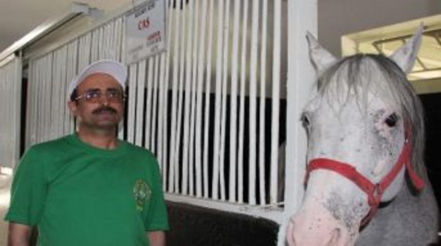 Devlete Milyonlar Kazandıran Emektar Yarış Atı Emekliye Ayrıldı