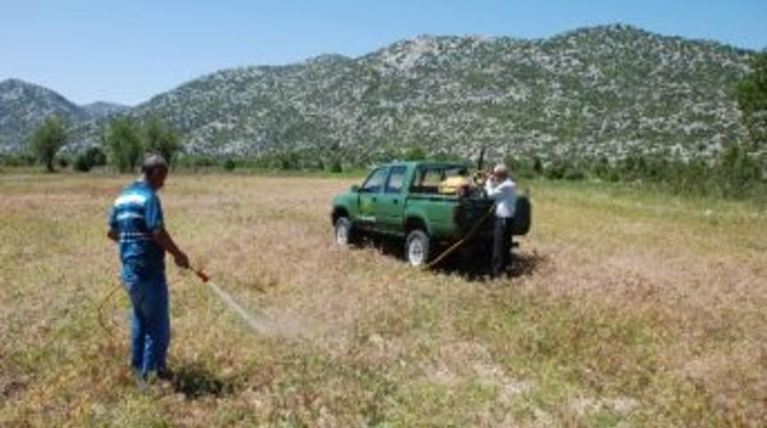 Akseki&rsquo;de &Ccedil;ekirge M&uuml;cadelesi Başladı