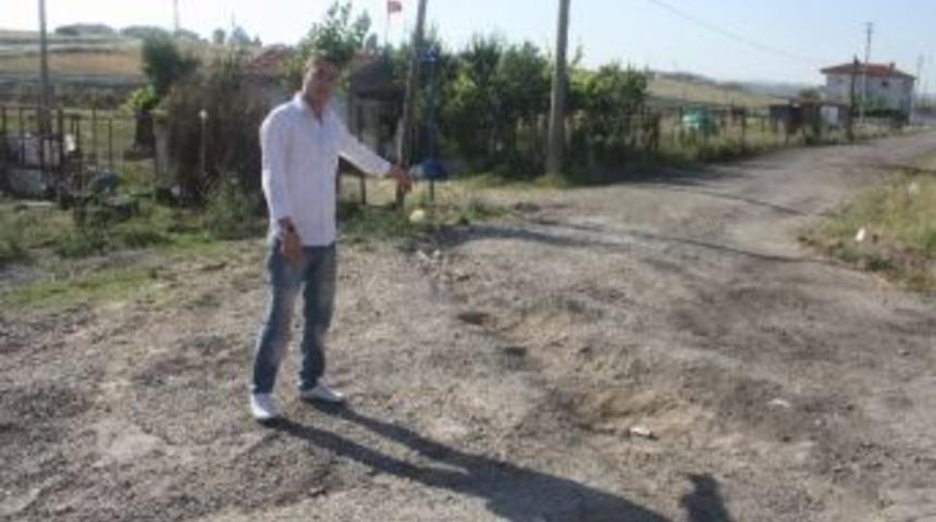 Yol Değil K&ouml;stebek Yuvası