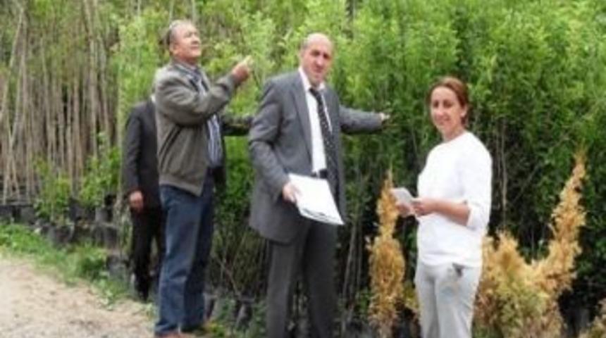 Fidan Ve Tohum Bayi Denetimleri Yapıldı