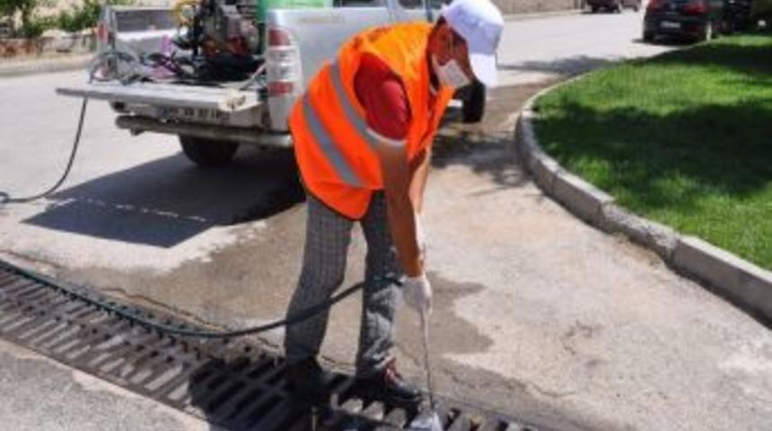 Haşeresiz Bir Yaz İ&ccedil;in İla&ccedil;lamalar Devam Ediyor