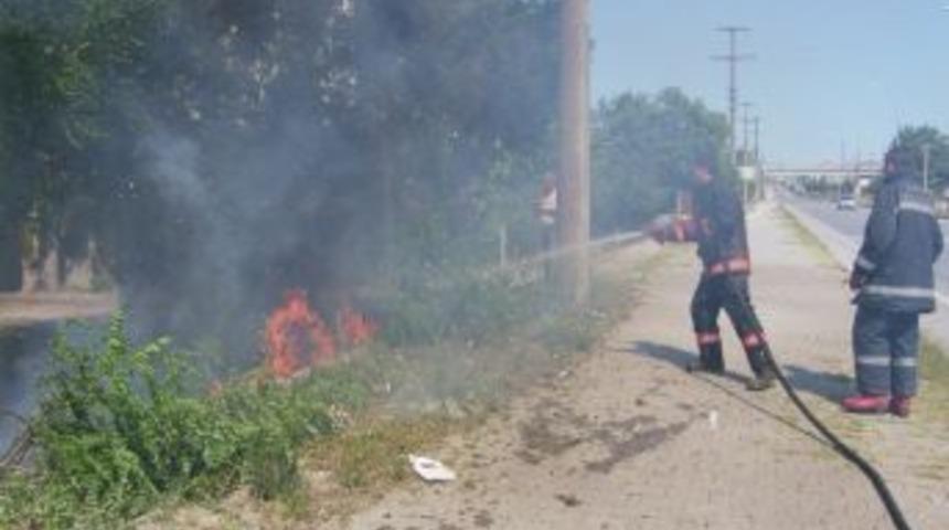 &Ccedil;&ouml;p Yakarken Ağa&ccedil;ları Yakacaktı