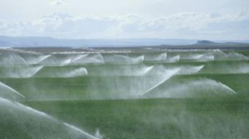 Suşehri Cazibe Sulaması Ile Pusat &Ouml;zen Sulaması Hizmete Girdi