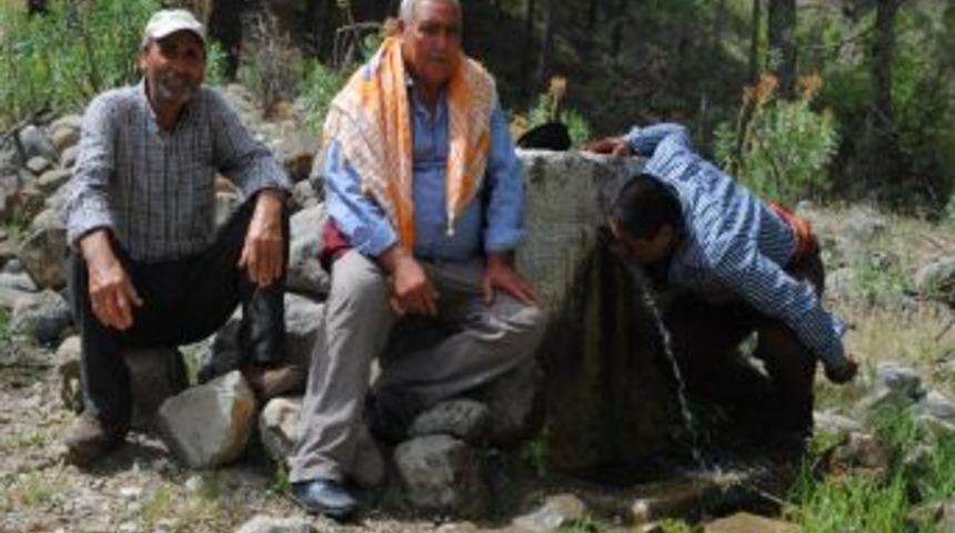 Havalar Isınınca Sahilden Yaylaya Y&ouml;r&uuml;k G&ouml;&ccedil;leri Başladı