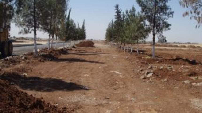 Curcup Deresi Ağa&ccedil;landırılıyor