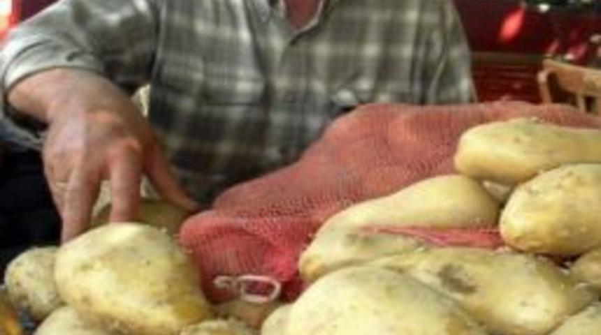 Patates Fiyatlarındaki D&uuml;ş&uuml;ş &Uuml;reticiyi Sıkıntıya Soktu