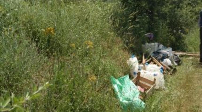 Tarım İş&ccedil;ileri Taşıyan Trakt&ouml;r R&ouml;morku Devrildi: 20 Yaralı