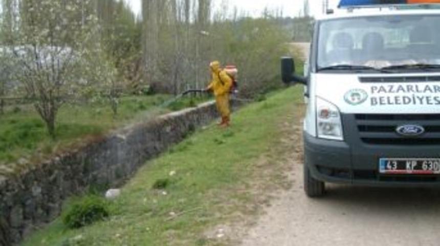 Sinekle M&uuml;cadelede