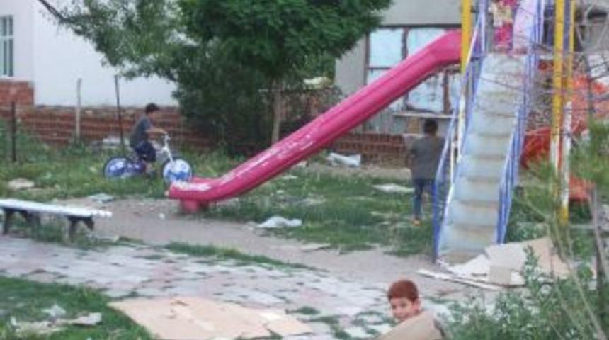 &Ccedil;&ouml;plerin Arasında Oyun Oynuyorlar