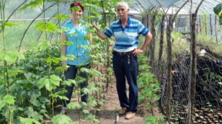 40 &Ccedil;eşit Tropikal Meyve Ağa&ccedil;larını Bah&ccedil;esinde Test Yapıyor