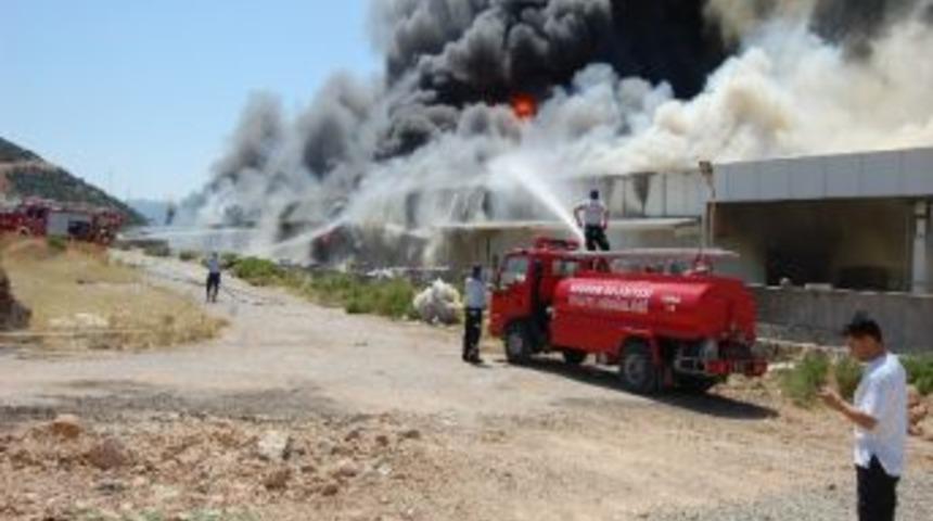 Bodrum alevlere teslim oldu