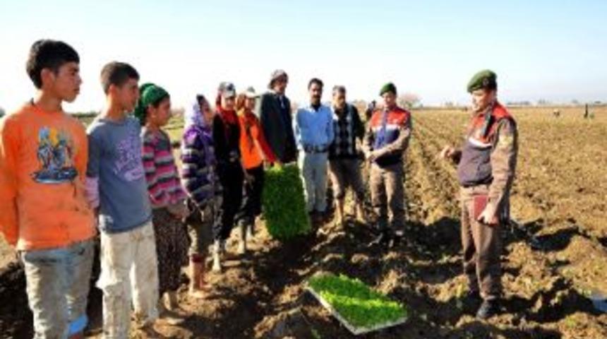 Jandarma 173 Yaşında