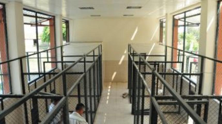 Manavgat'ta Sokak Hayvanları I&ccedil;in Barınak