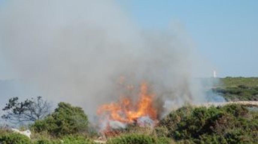 Didim&rsquo;de Yangın&hellip;