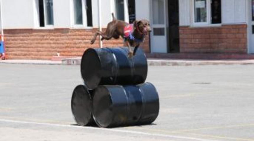 Veri Ve Vakar’ın Gurur Günü